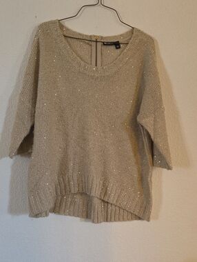 Allen B. by Allen Schwartz Champagne Sequin Scoop-Neck Sweater
